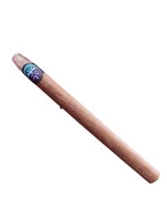 Photoroom-20240829_060239