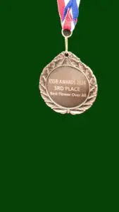 2024 Essie Awards 3rd place Best Flower in New Mexico