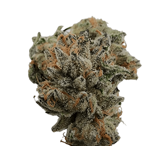 Photoroom-20240704_083720