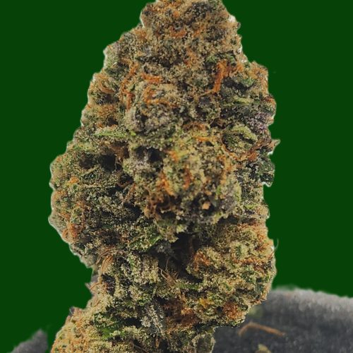 Cherry Pie