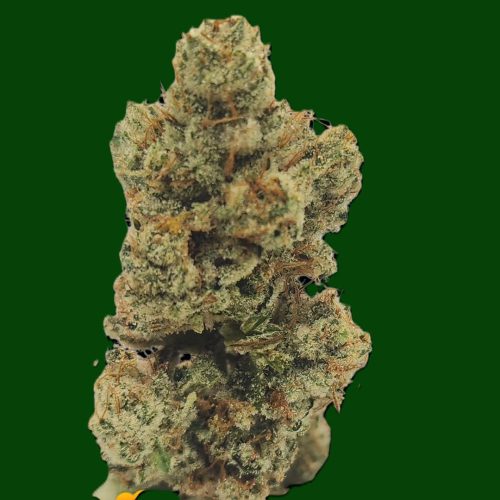 GG#4