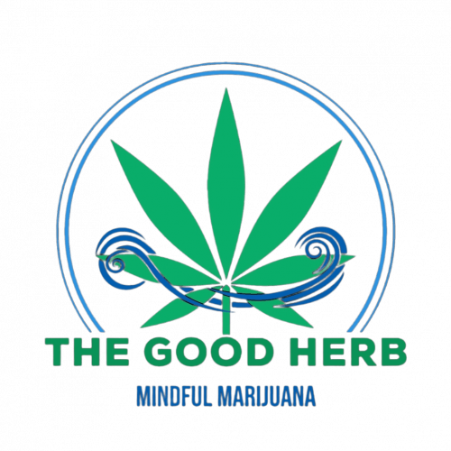 Photoroom-20240818_065122